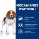 Un beagle sur un fond bleu met en avant L-carnitine, mélange de fibres et antioxydants prouvés.