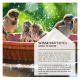 Spatzen spritzen in einem sonnenbeschienenen Vogelbad, mit glitzernden Wassertropfen. Textüberlagerung: "WISSENSWERTES GOOD TO KNOW" über die Vorteile von Vogelbädern.