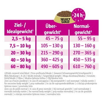 Grafiek die richtlijnen voor huisdiervoedingsporties toont voor ideale, overgewicht en normale gewichtscategorieën met gewichtscategorieën en gramhoeveelheden.
