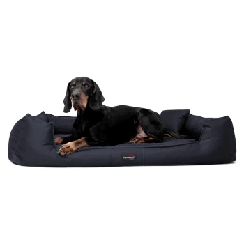 GOOFY - Orthopädisches Hundebett aus Polyester inkl. Matratzenschoner dunkelblau 90 cm, 22 cm, 75 cm Ein grauer Hund sitzt auf einem marineblauen Hundebett, mit einem Textüberlagerung, die "INKLUSIVE" und "MATRATZENSCHONER GIBT'S OBENDRAUF" besagt.