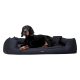 Ein grauer Hund sitzt auf einem marineblauen Hundebett, mit einem Textüberlagerung, die "INKLUSIVE" und "MATRATZENSCHONER GIBT'S OBENDRAUF" besagt.