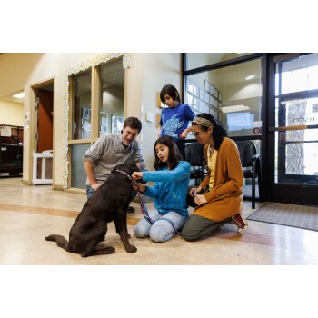 Eine Familie interagiert mit einem braunen Hund in einem Online-Haustiergeschäft, während ein Kind die Leine des Hundes hält und andere zuschauen.