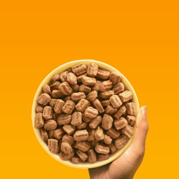 Eine Hand hält eine gelbe Schüssel, gefüllt mit kleinen, braunen Haustierfutterkibbles, vor einem hellorangefarbenen Hintergrund.