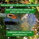 Bild eines Bambus-Wasserhahns, der in einen Teich gießt, umgeben von Grün und Blütenblättern, mit Text, der gesundes Teichwasser fördert.