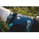 Nahaufnahme eines schwarz-weißen Hundes, der ein blaues und türkisfarbenes Geschirr mit einem "Ruffwear"-Logo trägt, vor einem grasbewachsenen Hintergrund.