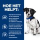 Een zwart-witte hond met een blauwe halsband, naast tekst die de voordelen van een product voor huisdieren beschrijft, waaronder spijsverteringsondersteuning en immuunsysteemgezondheid.