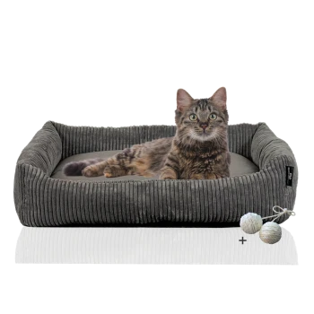 Ein gemütliches graues Katzenbett mit einer getigerten Katze, die darin entspannt, begleitet von zwei strukturierten Spielbällen.