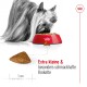 Ein Yorkshire Terrier frisst aus einer roten Schüssel mit Trockenfutter, mit einem Trockenfutterstück neben einem Lineal, das mit "Extra kleine & besonders schmackhafte Krokette" beschriftet ist.