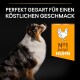 Profil eines dreifarbigen Hundes auf schwarzem Hintergrund mit dem Text "Perfekt gegart für einen köstlichen Geschmack" und einem orangefarbenen "N°1 Zutat Huhn"-Etikett.