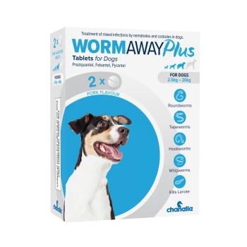 WormAway Plus dog dewormer box (pork flavour, 2×) with smiling dog; treats roundworms, tapeworms, hookworms, whipworms.