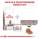 Royal Canin Veterinary Gastrointestinal Kitten Trockenfutterbeutel und Nassfutterdose, mit Text über weiche Mousse für Kätzchen.