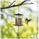 A bird feeder hanging from a branch, filled with mixed birdseed, with a small bird in flight nearby.