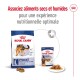 Emballage de nourriture pour chien Royal Canin présentant des options de nourriture sèche et humide pour les grands chiens (26-44 kg), promouvant une nutrition optimale.