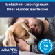 Mann schmust mit schlafendem Beagle; Text: „Einfach im Lieblingsraum Ihres Hundes einstecken“; ADAPTIL Calm und „bis zu 30 TAGE“.