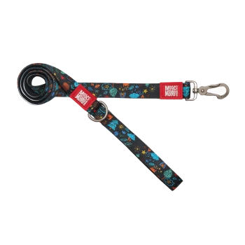 Schwarze Hundeleine mit bunten Natur-Icons, Metallverschluss und D-Ring, roter Anhänger mit der Aufschrift "Max & Molly".