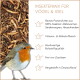Insektenmix für Vögel & Igel: Haufen Mehlwürmer, Rotkehlchen; Text: 100% Insektenprotein, vitaminreich, hergestellt in Deutschland.
