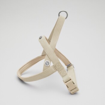Beige Haustiergeschirr mit verstellbaren Riemen und einem Metall-D-Ring, auf einem hellgrauen Hintergrund präsentiert.