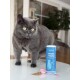 KatKare-Katzentopper (Shiny, Strong Heart, Digestive, Urinary, Mobility, Immuno) auf Holz mit Katzenpfote und Kräutern.