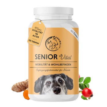 Flasche mit 'Senior Vital' Hundefutterergänzung mit dem Gesicht eines Hundes auf dem Etikett, das Mobilität und Wohlbefinden fördert, enthält 120 Tabletten.