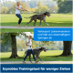 Eine Frau führt einen großen Hund an der Leine in einem Park. Text: "Verbessert die Leinenführung und reduziert das Springen" und "Bewährtes Trainingswerkzeug für weniger Ziehen."