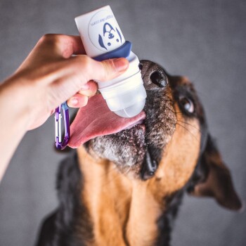 Eine weiße tragbare Haustier-Wasserflasche mit einem marineblauen Riemen und Karabiner, mit einer Hundegrafik und dem Text "doggystyle.com."
