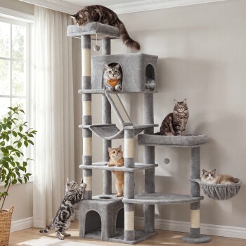Grauer mehrstufiger Kratzbaum mit Höhle, Hängematte, Kratzstämmen und sechs Katzen in einem hellen Raum