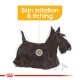 Illustration of a black Scottish Terrier with a highlighted area on its side, accompanied by the text "Skin irritation & itching."