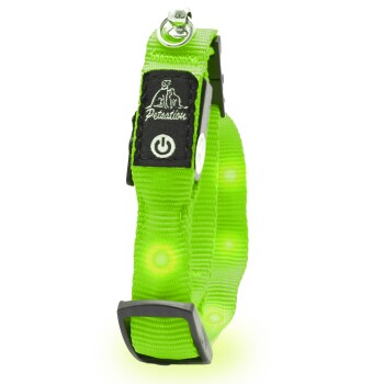 leuchtendes Katzenhalsband grün