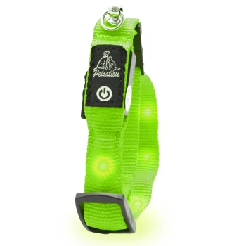 Helle grüne LED-Hundehalsband mit einem Einschaltknopf, mit einem Logo und reflektierenden Elementen für Sichtbarkeit.