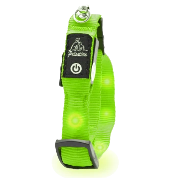 Helle grüne LED-Hundehalsband mit einem Einschaltknopf, mit einem Logo und reflektierenden Elementen für Sichtbarkeit.