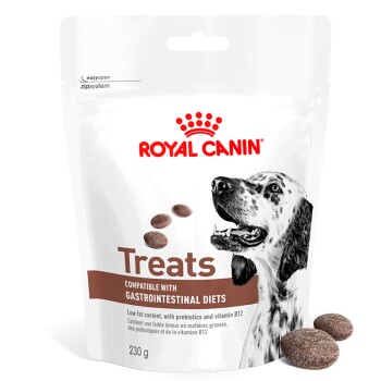 Paquet de friandises pour chiens Royal Canin avec une illustration de chien noir et blanc, étiqueté pour les régimes gastro-intestinaux, 230g, faible en gras, vitamine B12.