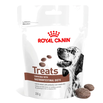 Paquet de friandises pour chiens Royal Canin avec une illustration de chien noir et blanc, étiqueté pour les régimes gastro-intestinaux, 230g, faible en gras, vitamine B12.