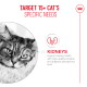 Close-up senior tabby cat face beside text "TARGET 15+ CAT'S SPECIFIC NEEDS" and "KIDNEYS: Support kidney health with high-quality proteins."