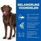 Een bruine hond staat naast een blauw paneel dat de voordelen van gewrichtsgezondheid supplementen benadrukt: EPA voor gewrichten, voeding voor flexibiliteit en glucosamine.