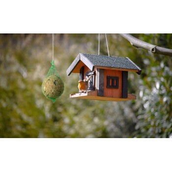 Ein buntes Vogelhaus hängt von einem Baumast, mit einem kleinen Vogel, der am Rand sitzt. Ein grüner Netzvogelspender ist in der Nähe.