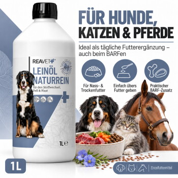 Eine Meeresschildkröte schwimmt unter Wasser, teilweise in Plastik verfangen, mit Botschaften: "1 KG FÜR 2 KG PLASTIK AUS DEM MEER" und "PLASTIKFREIER PLANET."