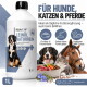 Eine Meeresschildkröte schwimmt unter Wasser, teilweise in Plastik verfangen, mit Botschaften: "1 KG FÜR 2 KG PLASTIK AUS DEM MEER" und "PLASTIKFREIER PLANET."