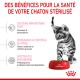 Un chaton tigré gris à côté d'un bol Royal Canin rouge, présentant un texte sur les bienfaits pour la santé des chatons stérilisés : immunité, contrôle du poids, microbiome.