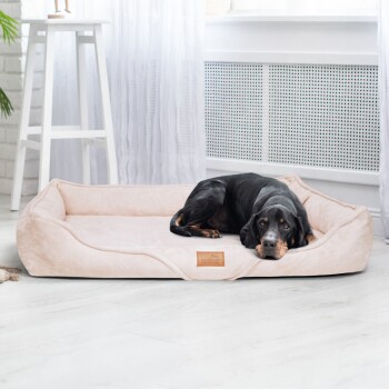 Schwarz-brauner Hund liegt auf einem beigen Haustierbett mit einem "bienfino"-Etikett in einem hellen Raum mit weißen Vorhängen.