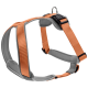 Orange und grahnes Haustiergeschirr mit verstellbaren Riemen und einem Metall-D-Ring zur Leinenbefestigung, vor einem weißen Hintergrund ausgestellt.