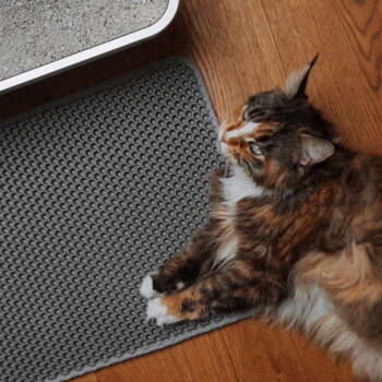 Langhaarige Schildpattkatze liegt auf einem Holzboden neben einer grauen, wabenförmigen Streumatte und der Ecke einer Katzentoilette.