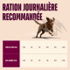 Chien courant, titre «RATION JOURNALIÈRE RECOMMANDÉE», tableau avec «POIDS DU CHIEN (KG)» et «QUANTITÉ QUOTIDIENNE (PIÈCES)».