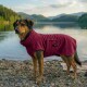 Mittelgroßer Hund trägt einen kastanienfarbenen Handtuchmantel mit der Aufschrift 'THE DOG IDEA', steht an einem felsigen Seeufer mit See und bewaldeten Hügeln.