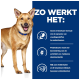 Ein glücklicher, goldbrauner Hund mit einem blauen Halsband steht vor einem weißen Hintergrund, neben einem Text, der die Vorteile einer Haustierfutterformel beschreibt.