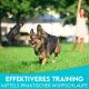 Ein glücklicher Hund, der auf grünem Gras mit einem Trainingswerkzeug in der Luft läuft, mit dem Text "Effektiveres Training mittels praktischer Wurfschlaufe."