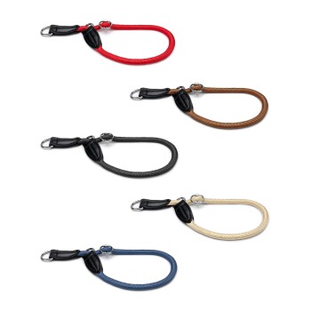 Fünf Hundeleinen, die in einer Reihe ausgestellt sind, in verschiedenen Farben: beige, schwarz, blau, rot und braun, mit schwarzen Lederbasen und Metallringen.