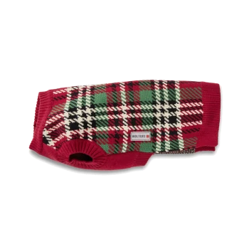 Rot-grün-weiß karierter Strickhundepullover mit geripptem Beinabschluss und 'WOLTERS'-Etikett.