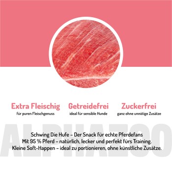 Ein kleiner, flauschiger Hund sitzt auf einer gemütlichen Decke, mit dem Text "ES WIRD ERNST. LERN UNS KENNEN" deutlich darunter angezeigt.