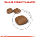 Image de trois croquettes pour animaux de compagnie brunes avec un indicateur circulaire, étiqueté "Taille de croquette adaptée".