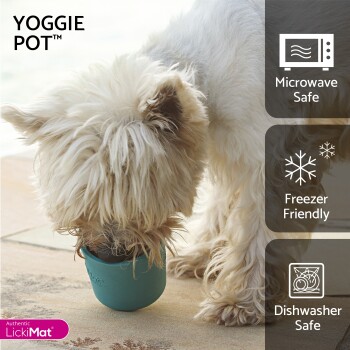 Weißer flauschiger Hund trinkt aus einem türkisfarbenen Yoggie Pot, gekennzeichnet als mikrowellengeeignet, gefrierfreundlich und spülmaschinenfest.